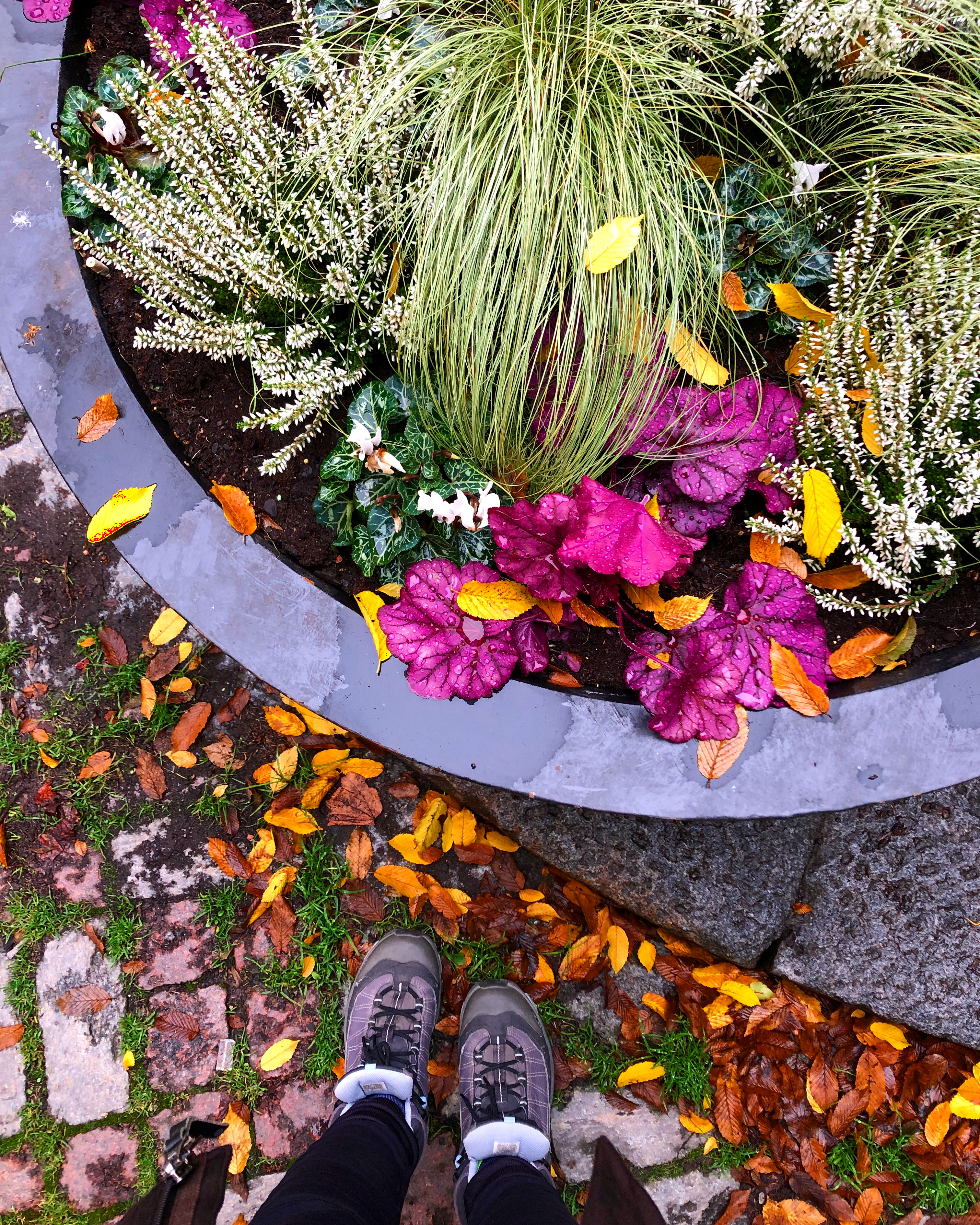 How to plan a spontaneous&nbsp;trip?