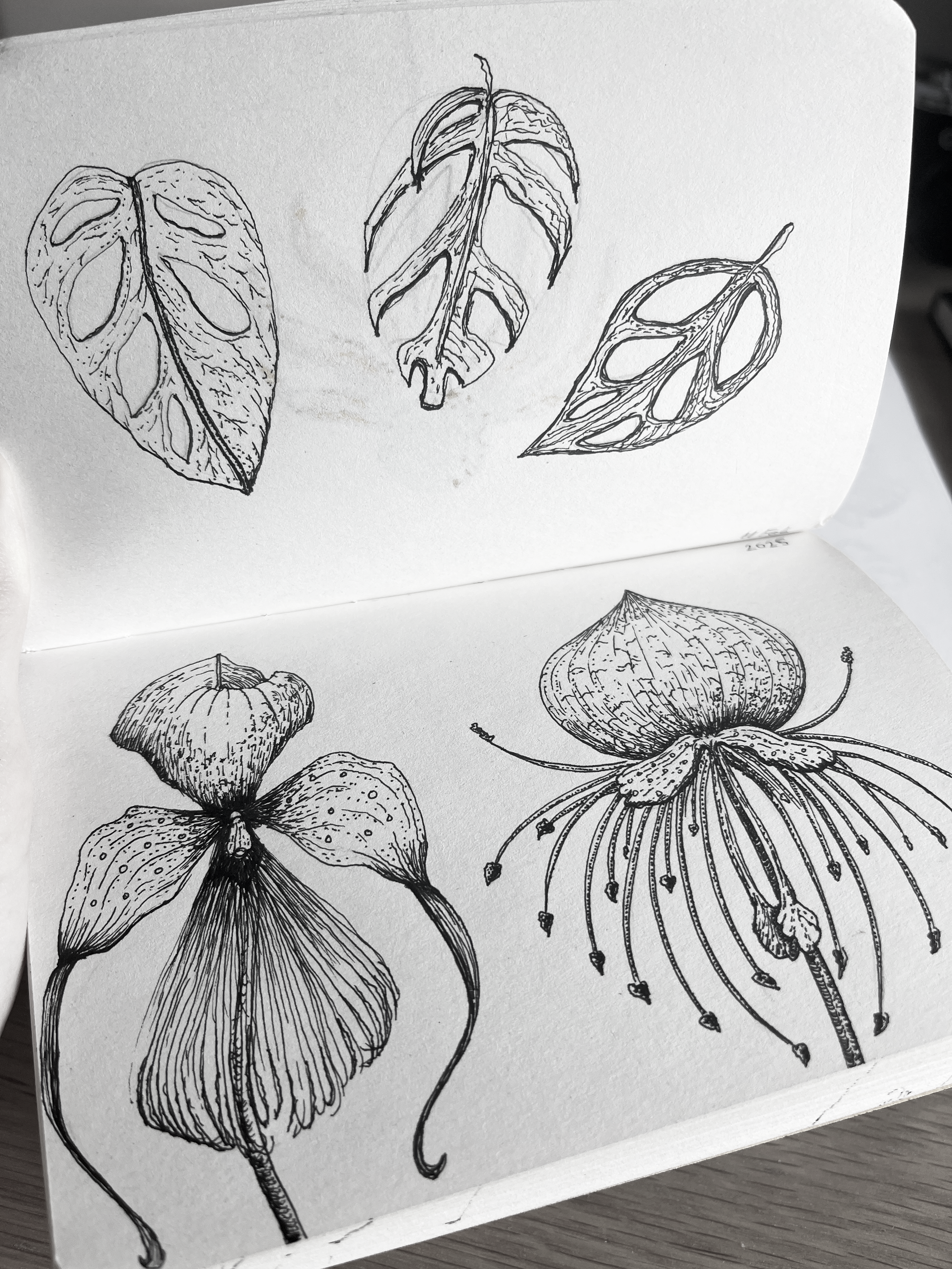 Is drawing important for CG&nbsp;artists?