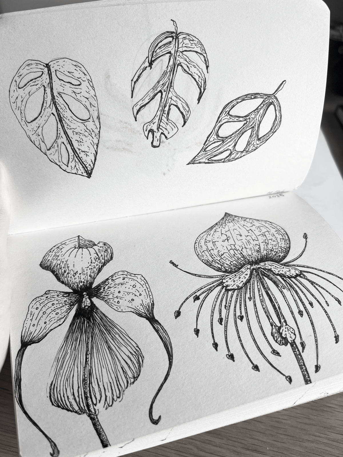 Is drawing important for CG&nbsp;artists?